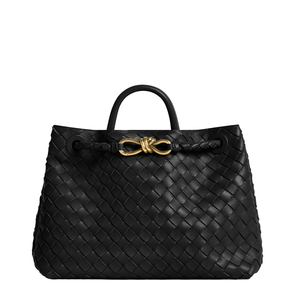 Bottega Veneta Andiamo Medium Lambskin Handbag - Black