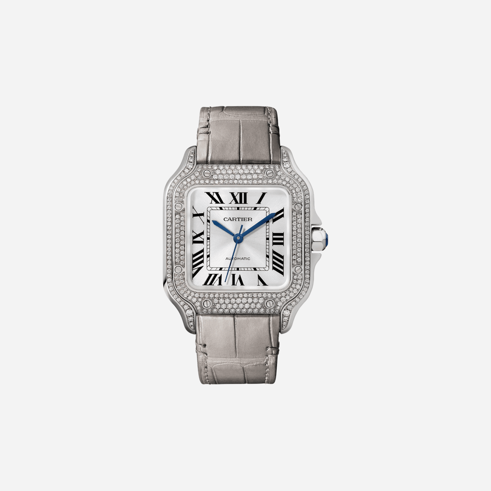 Cartier Santos De Cartier Silver Dial Leather Strap Watch - WJSA0014