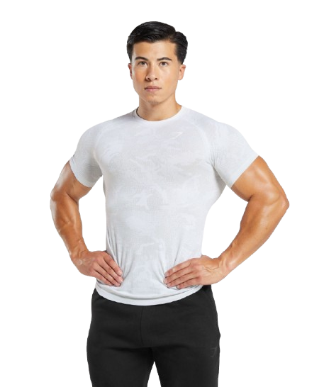 Gymshark Geo Seamless T-Shirt - White/Light Grey