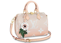 Louis Vuitton Speedy Bandouliere Gradient Pastel 25 Mist Gray