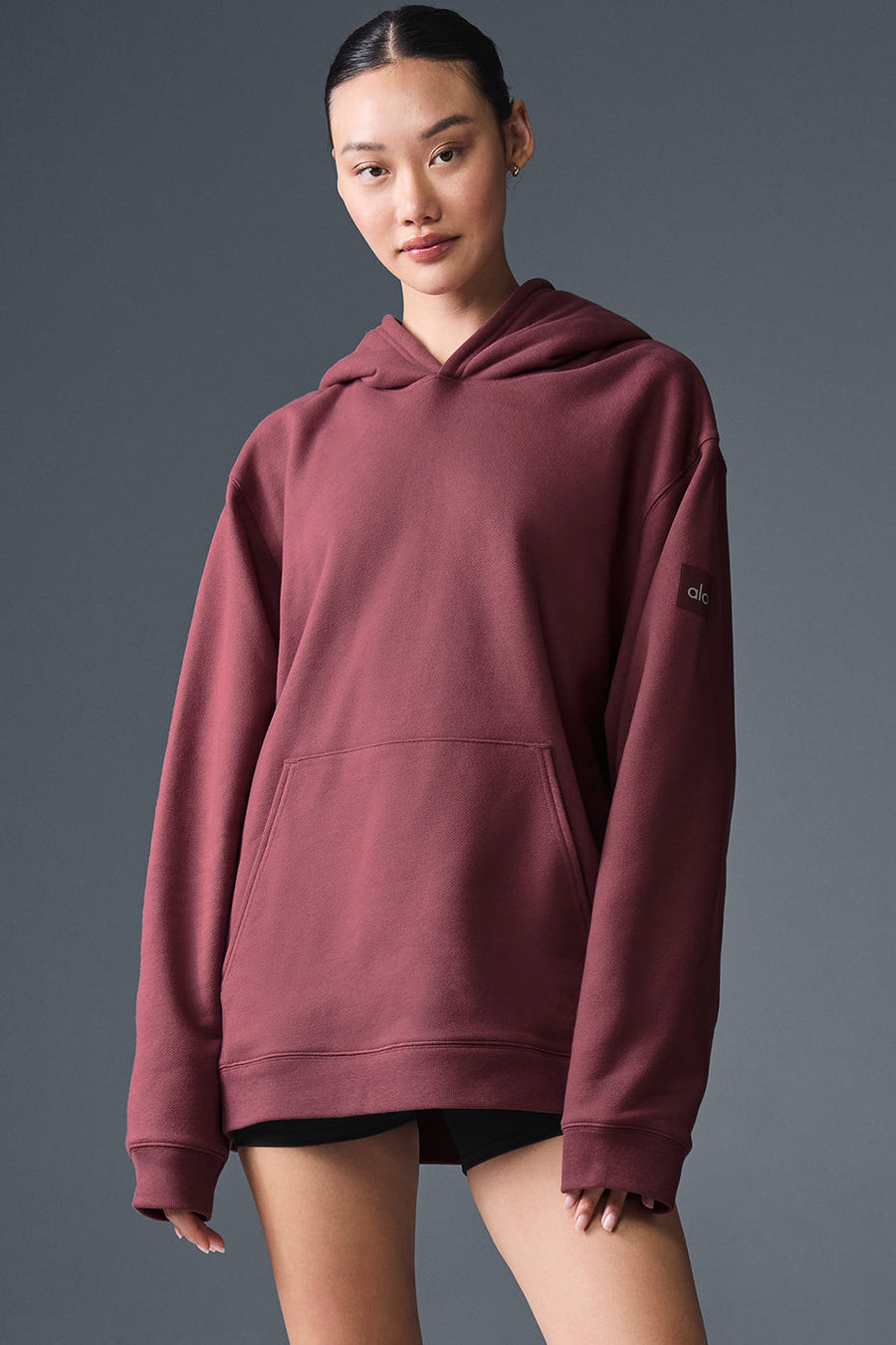 Renown Heavy Weight Hoodie