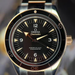 Omega Seamaster 300233.20.41.21.01.001