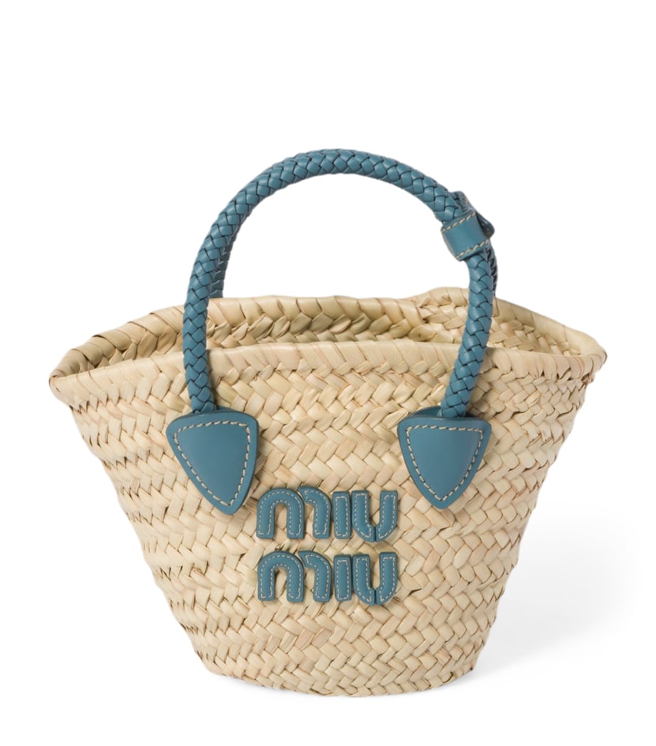 Mini Straw Basket Tote Bag